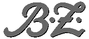 Project Logo- BZ Interview