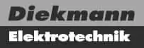 Project logo: Commissioned art for Diekmann Electronics